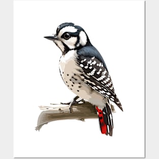 Downy Woodpecker Standing on Branch Posters and Art